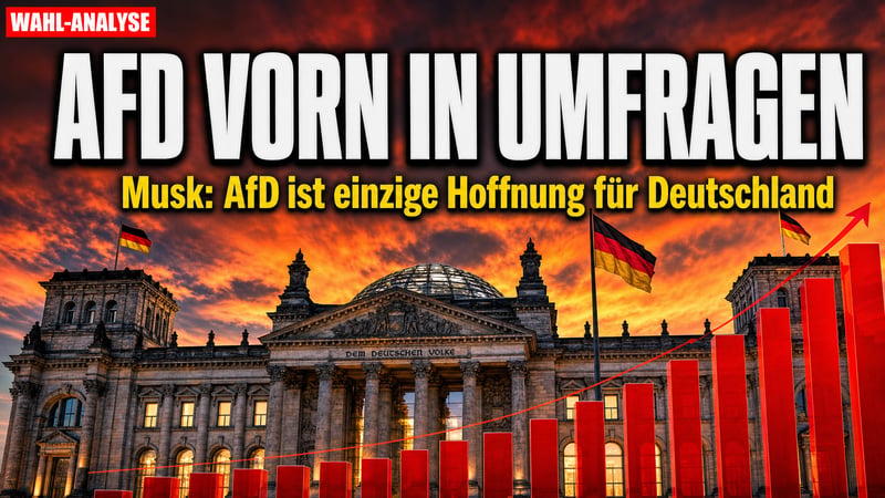 Musk mischt sich ein: „AfD ist die einzige Hoffnung für Deutschland“
