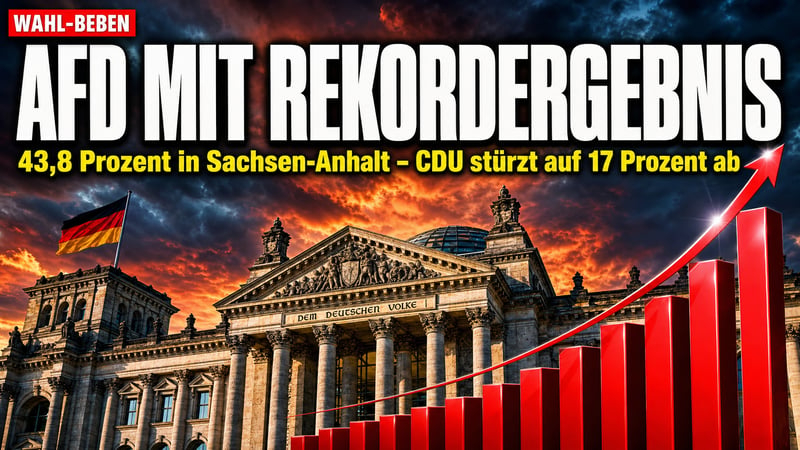 Musks „Gut gemacht!“: Nach AfD-Rekord wankt die Merz-These