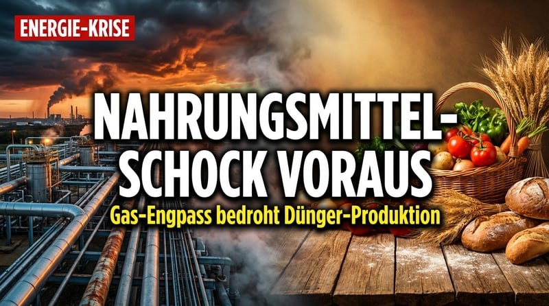 Nahrungsmittel-Schock voraus: Wenn die Energiekrise am Esstisch ankommt