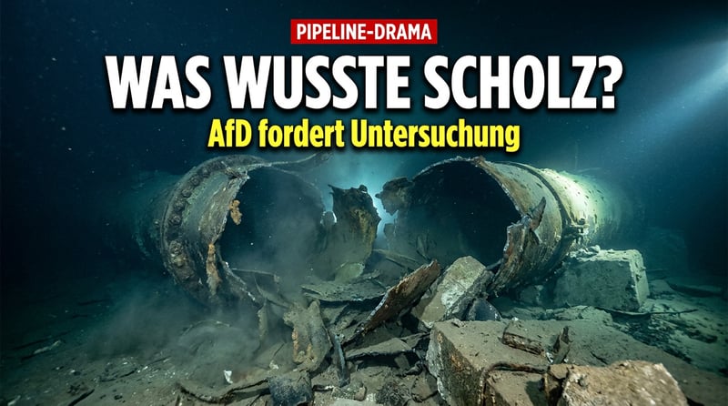 Nord-Stream-Sprengung: Was wusste Scholz wirklich? AfD bringt Untersuchungsausschuss ins Spiel
