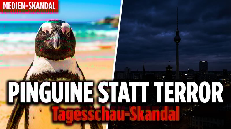 Öffentlich-rechtliche Prioritäten: Tagesschau widmet Pinguinen mehr Sendezeit als Berliner Terroranschlag