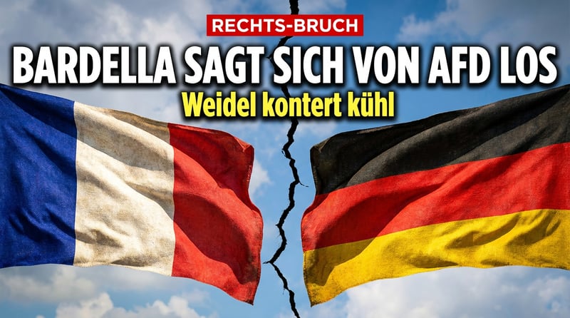 Pariser Distanzierung: Bardella geht auf Abstand zur AfD – Weidel kontert kühl