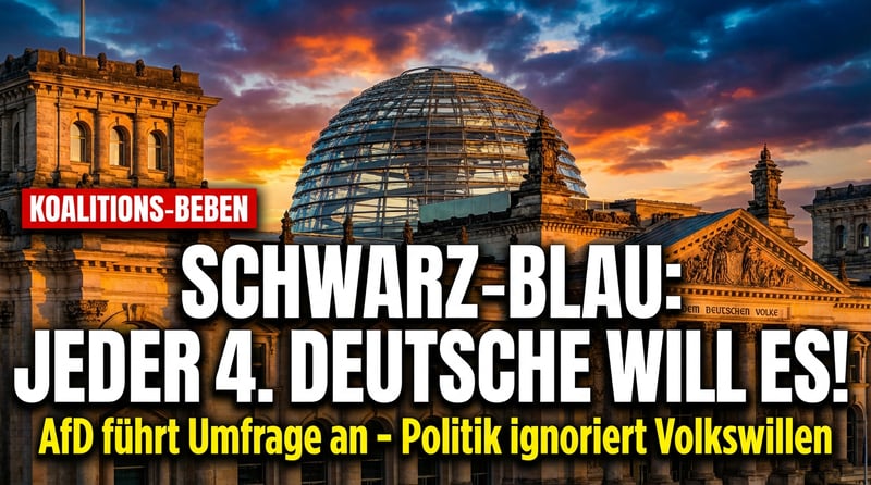 Schwarz-Blau: Jeder vierte Deutsche wünscht sich, was die Politik nicht liefern will