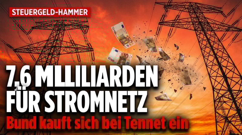 Staatliche Milliarden für Tennet: Wenn der Bund zum Stromnetzbetreiber wird