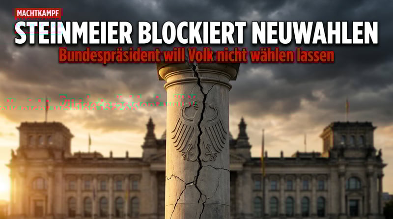 Steinmeier als Königsmacher: Wie der Bundespräsident den Bürgern das Wahlrecht verweigern könnte
