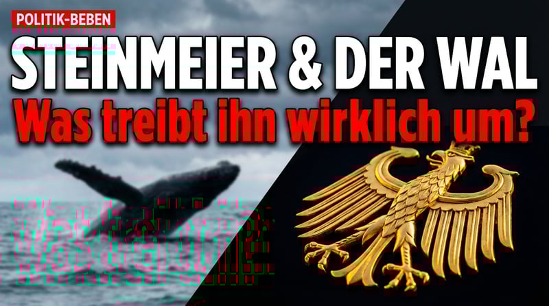 Steinmeier und der Wal: Wenn ein Bundespräsident nichts Besseres zu tun hat