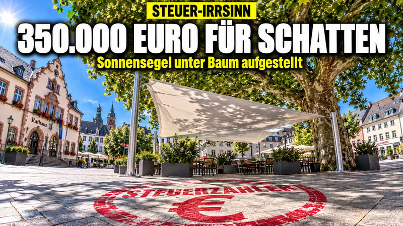 Steuer-Irrsinn im Schwarzbuch: Sonnensegel unter Bäumen, Klos ohne Gäste