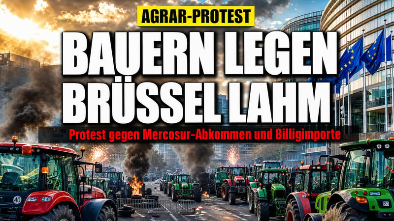 Traktoren gegen Brüssel: Warum Europas Bauern wieder Sturm laufen