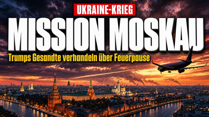 Trumps Männer fliegen nach Moskau: Feuerpause nur für die Gesandten?
