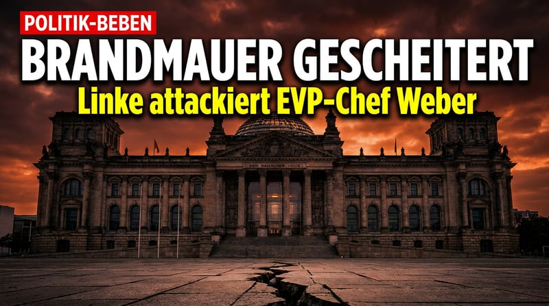 Verachtung statt Argumente: Wenn ausgerechnet die SED-Erben über „Brandmauern“ dozieren
