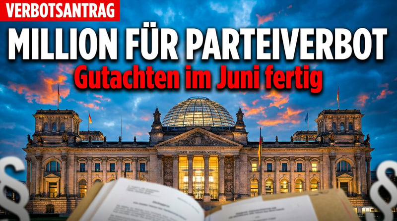 Verbot per Crowdfunding: Wie eine Millionenspende das politische Aus der AfD vorbereiten soll
