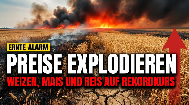Wenn die Ernte brennt: Wie Krieg und Hitze die Weltmärkte in eine neue Nahrungsmittelkrise treiben