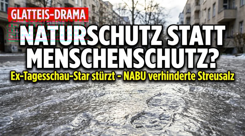 Wenn Naturschutz zur Gefahr wird: Ex-Tagesschau-Sprecher stürzt auf Berliner Eisgehweg