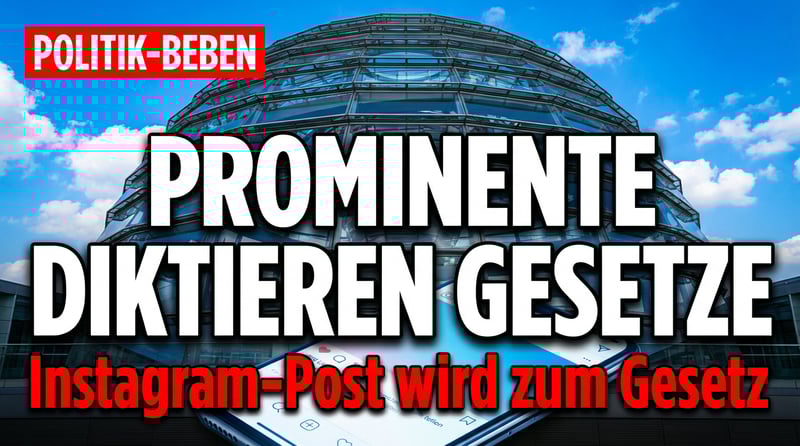 Wenn Prominente Gesetze diktieren: Fernandes auf dem Weg ins politische Berlin