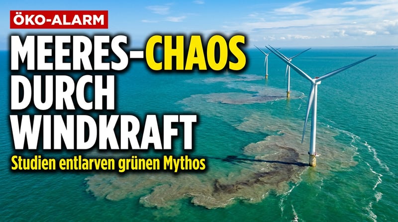 Windkraft als Naturschutz? Neue Studien entzaubern den grünen Mythos auf hoher See