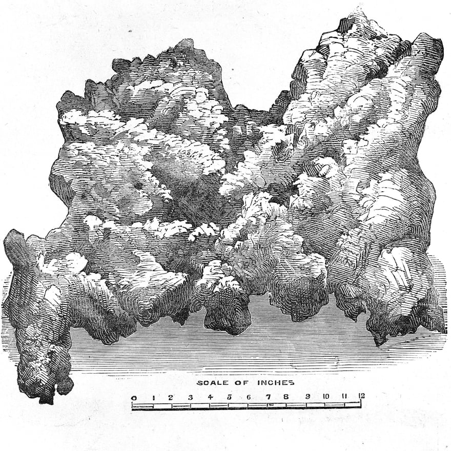 Wood engraving of the Welcome Stranger gold nugget with a scale in inches