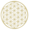 Logo von Naturheilpraxis