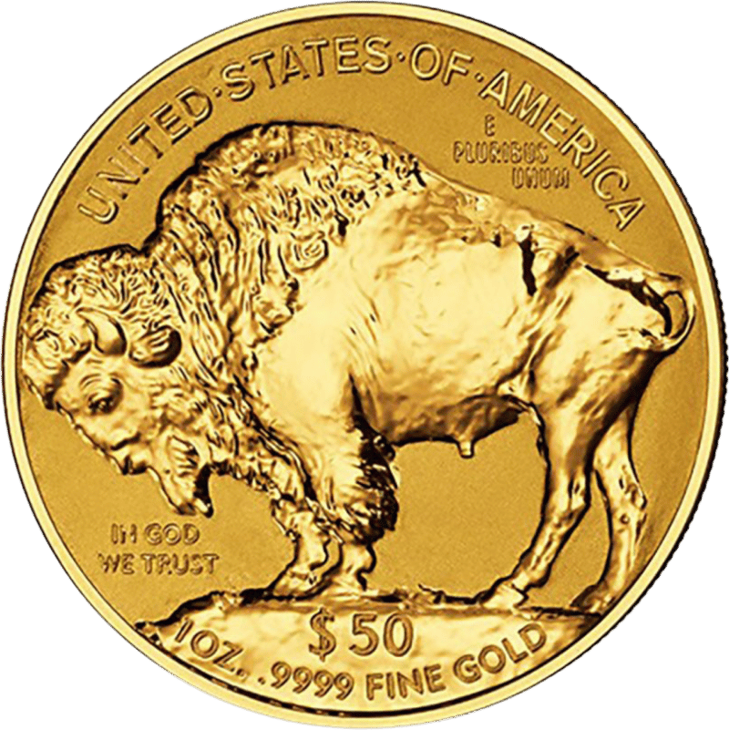 American Buffalo 2013, bison side with the American bison