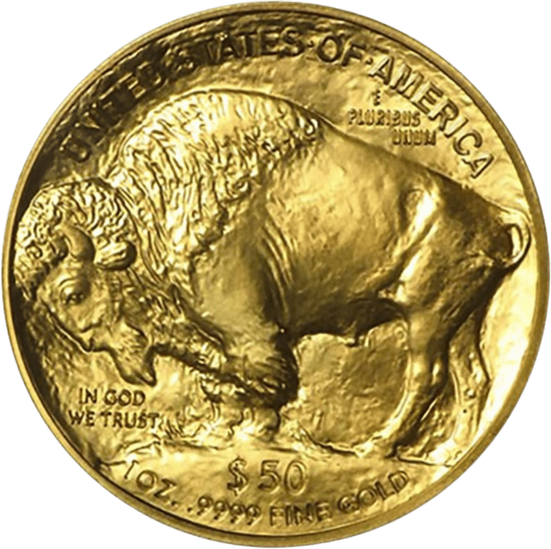 American Buffalo 2009, Bisonseite mit dem amerikanischen Bison
