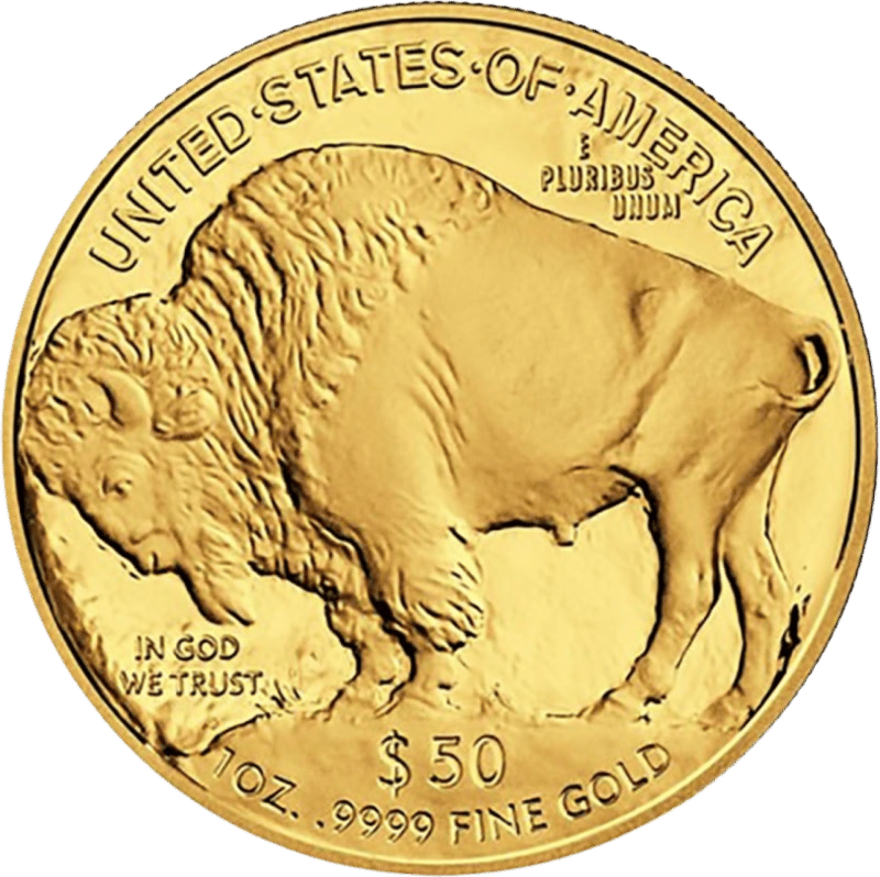 American Buffalo 2015, Bisonseite mit dem amerikanischen Bison