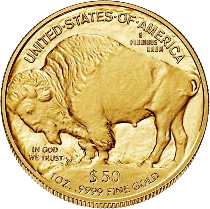American Buffalo 2016, cara del bisonte con el bisonte americano