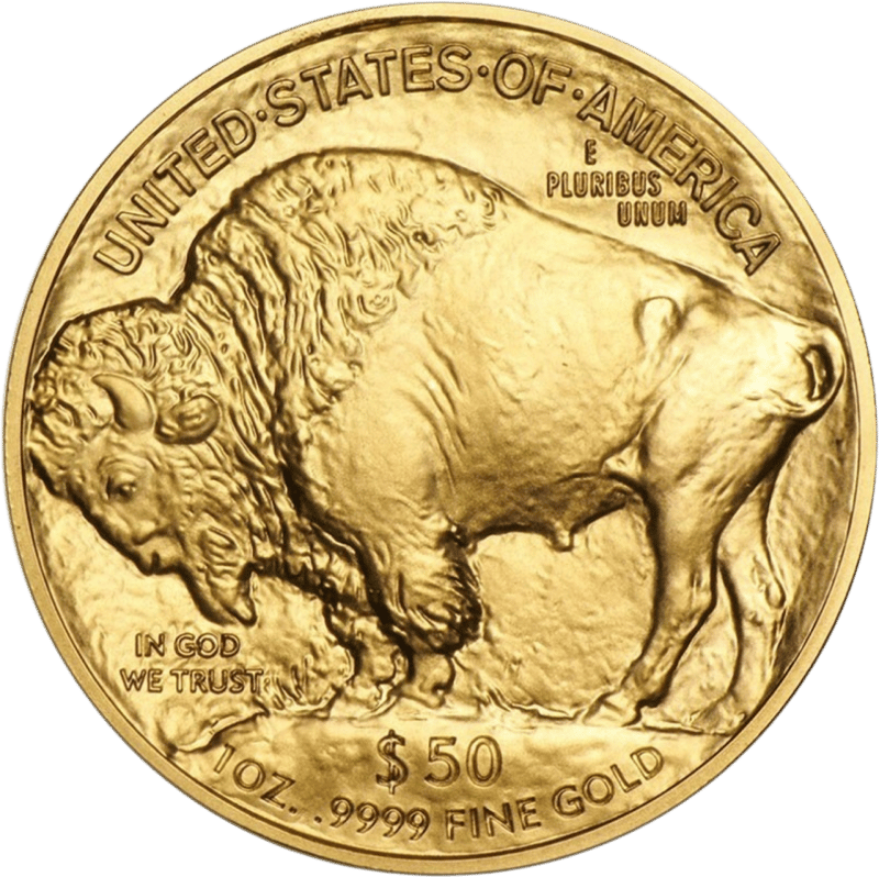 American Buffalo 2017, bison side with the American bison