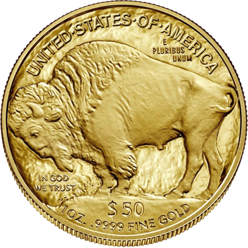 American Buffalo 2019, cara del bisonte con el bisonte americano