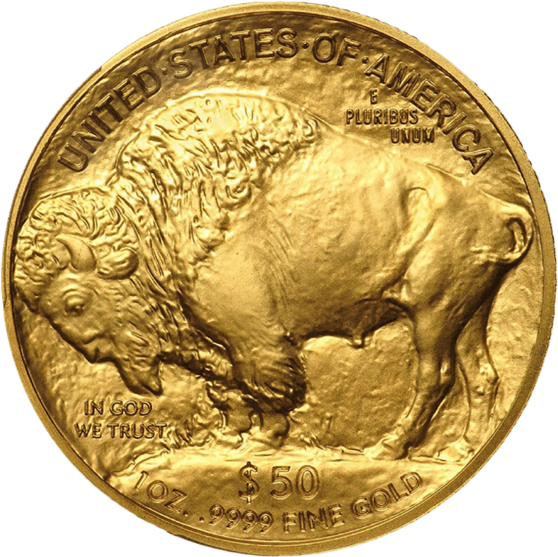 American Buffalo 2020, bison side with the American bison