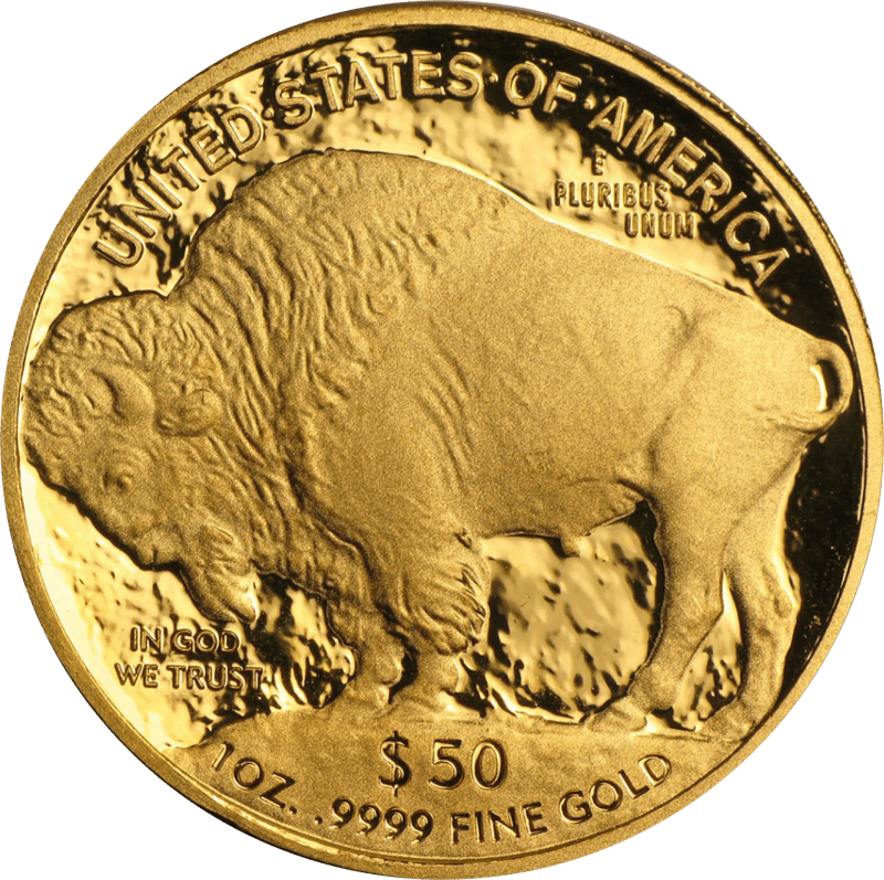 American Buffalo 2010, bison side with the American bison