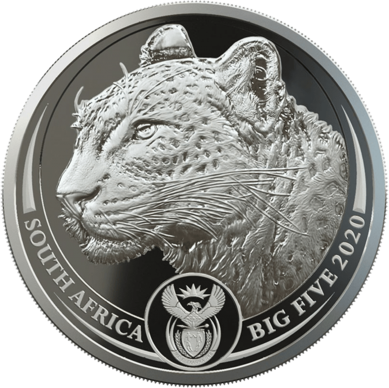 Big Five Leopard 2020, 1 Unze Platin, Motivseite