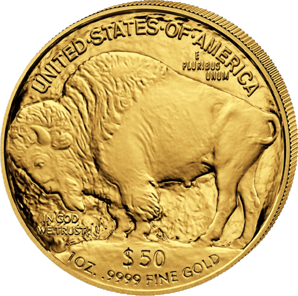 American Buffalo 2022, bison side with the American bison