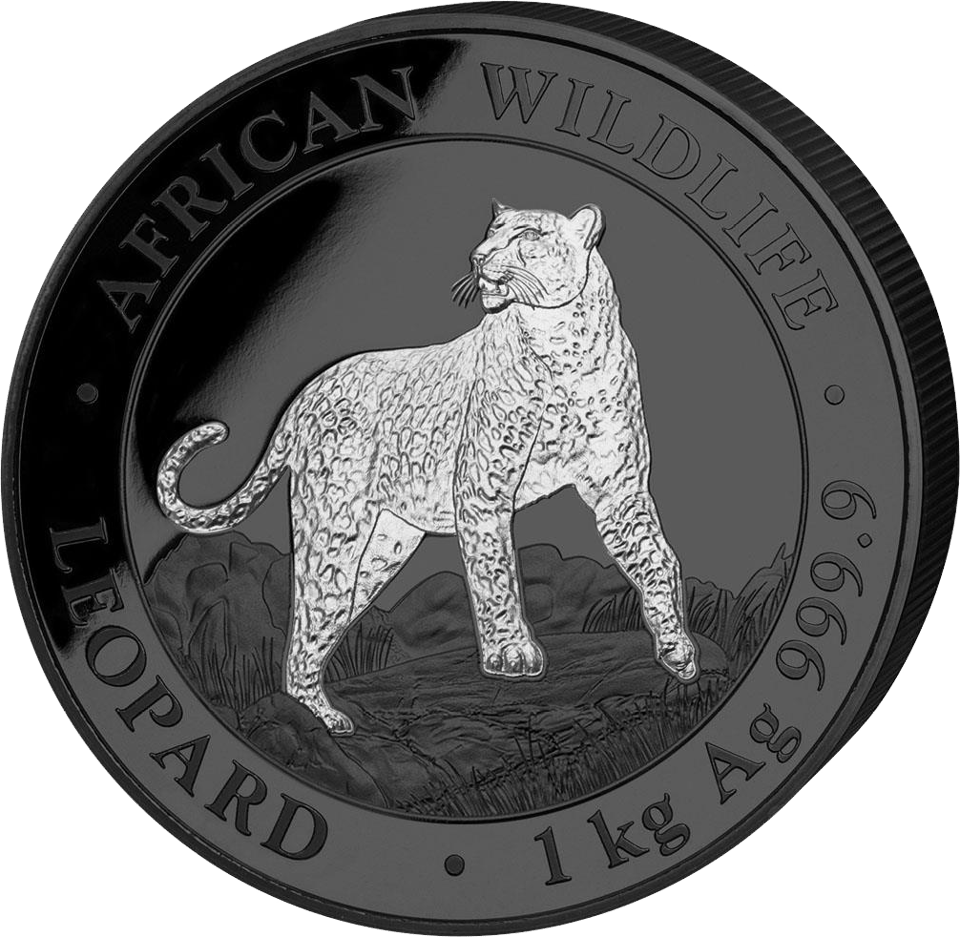 African Wildlife Leopard 2022, 1 kg Silber, Bildseite