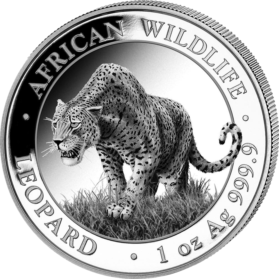 African Wildlife Leopard 2023, 1 Unze Silber, Bildseite