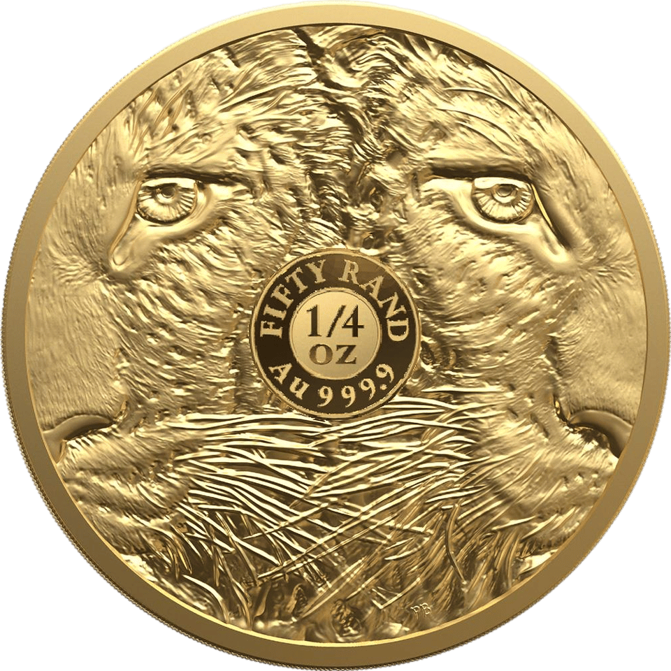 Big Five Leopard 2023, 1/4 Unze Gold, Seite mit Augen und Fell