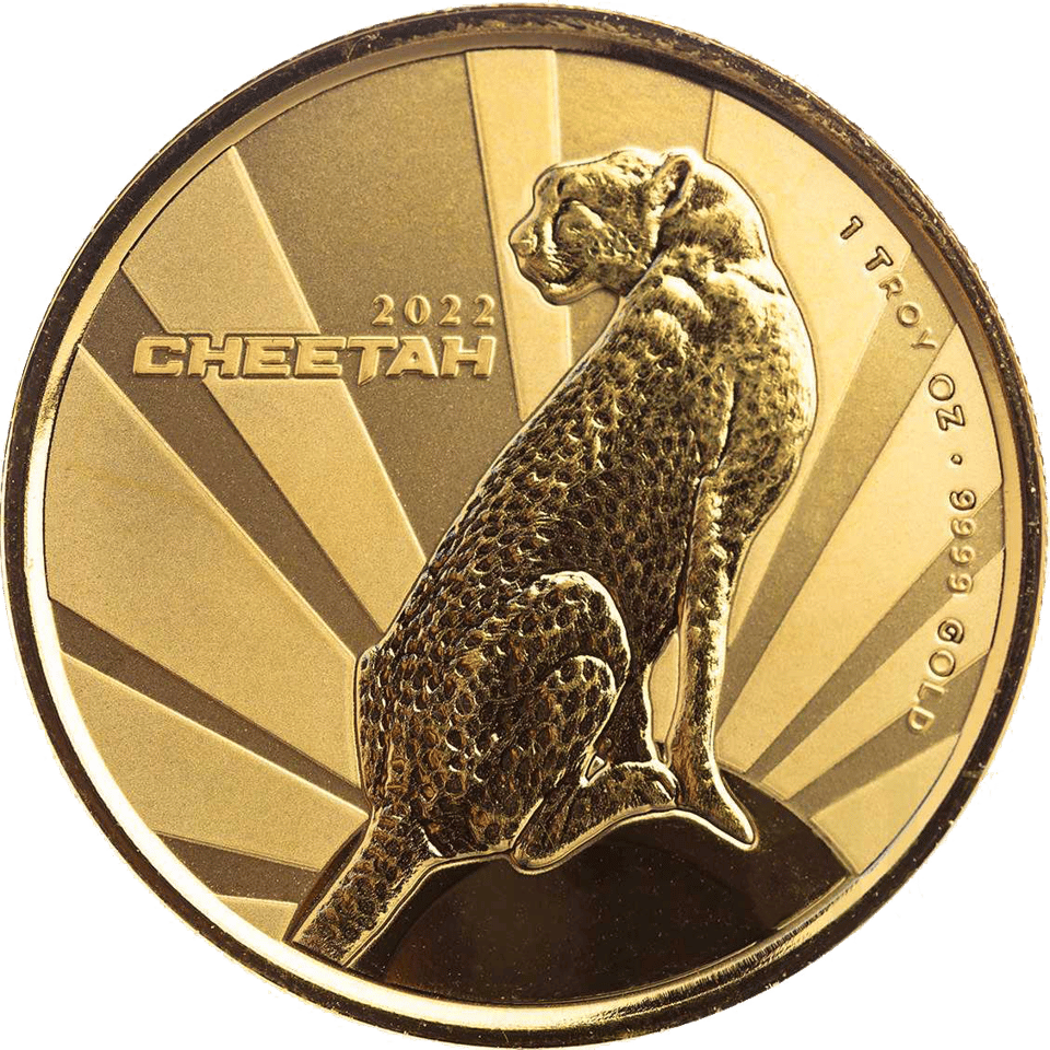 Kamerun Gepard 2022, 1 Unze Gold, Bildseite