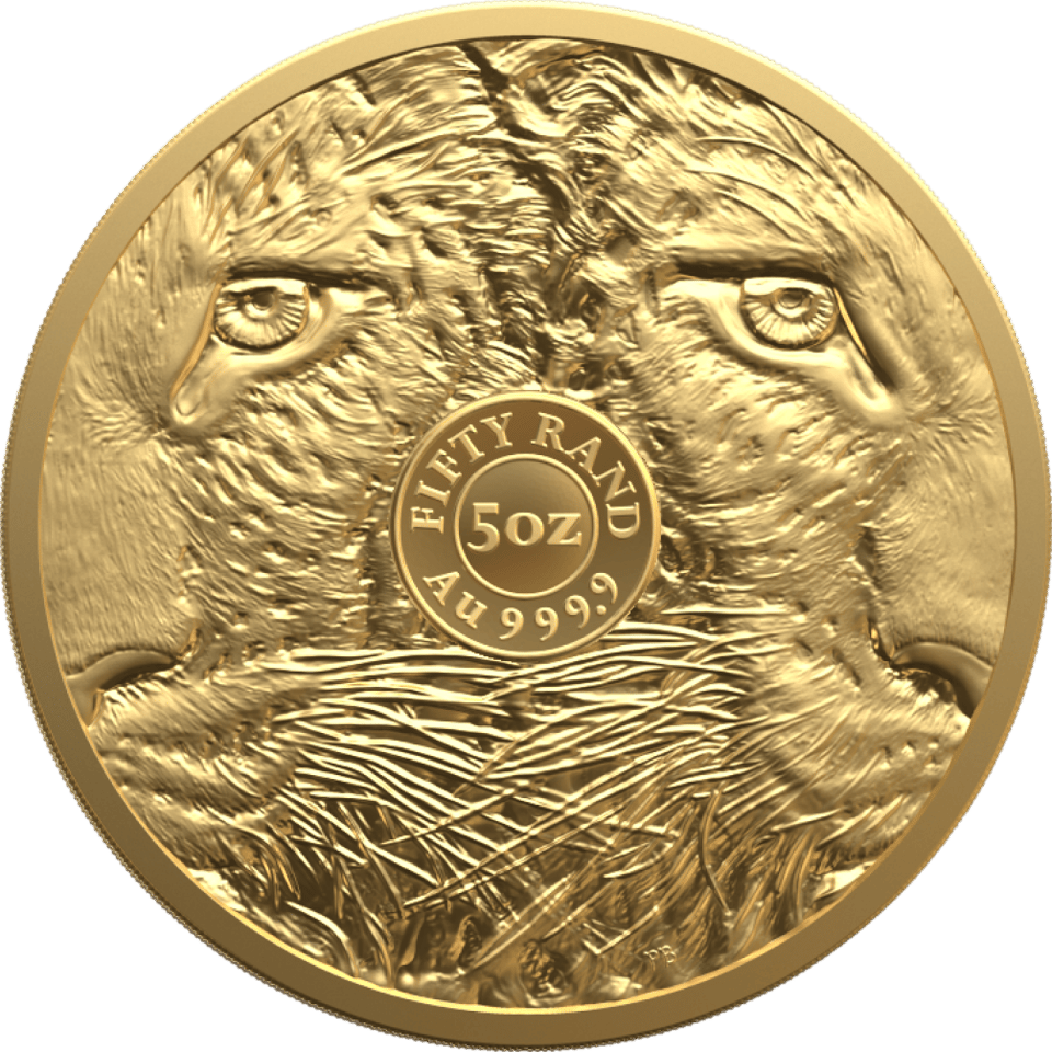 Big Five Leopard 2023, 5 Unzen Gold, Seite mit Augen und Fell