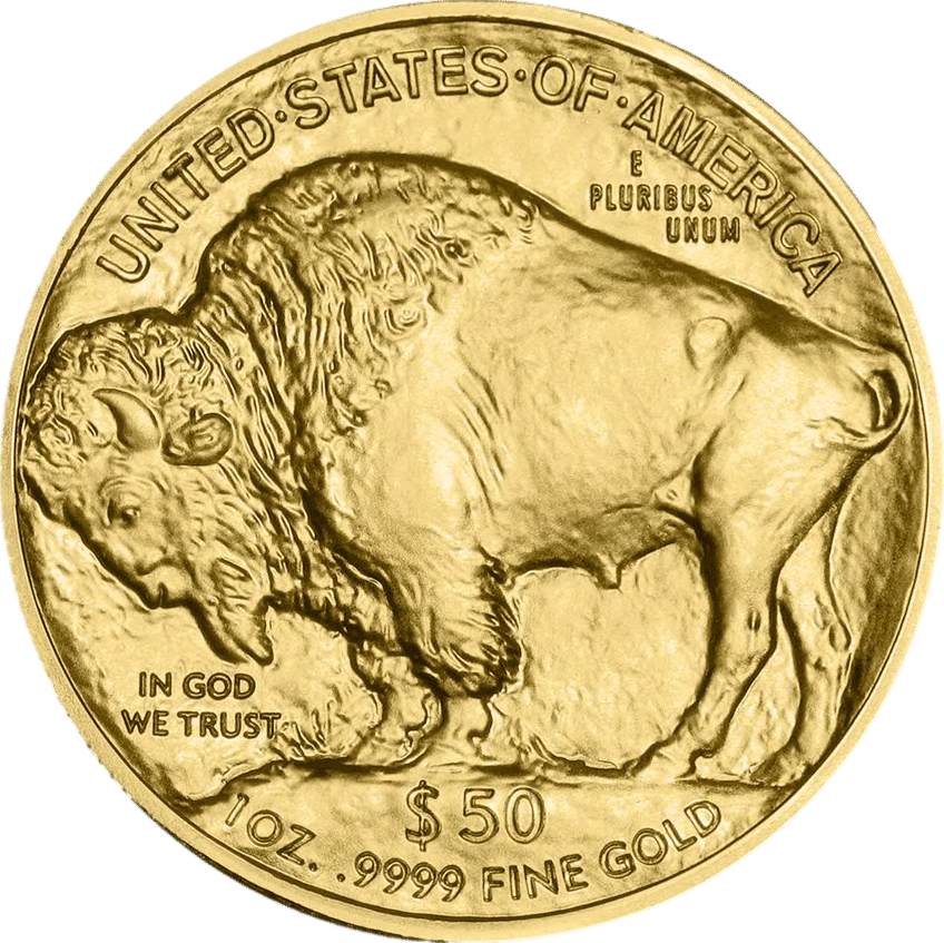 American Buffalo 2025, Bisonseite mit dem amerikanischen Bison