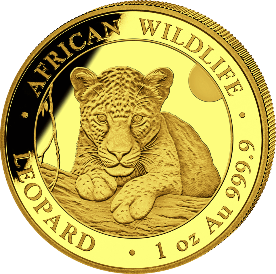 African Wildlife Leopard 2025, 1 Unze Gold, Bildseite