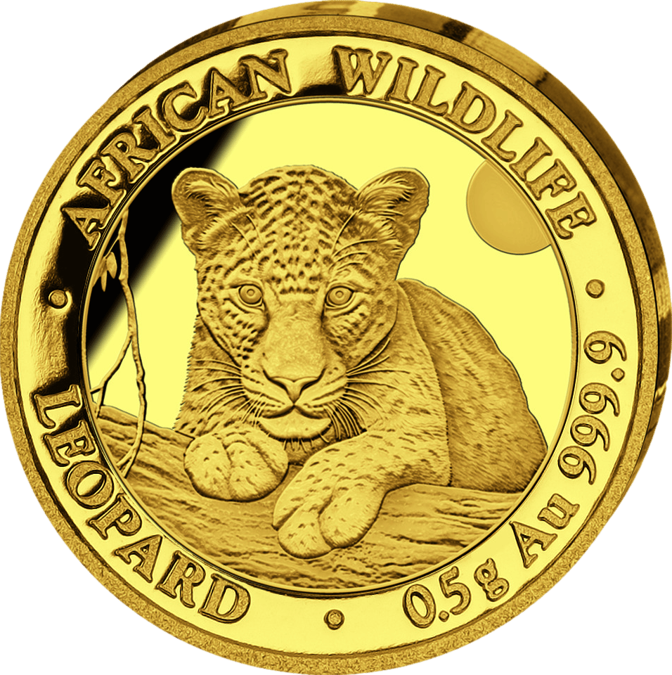 African Wildlife Leopard 2025, 0,5 g Gold, Bildseite