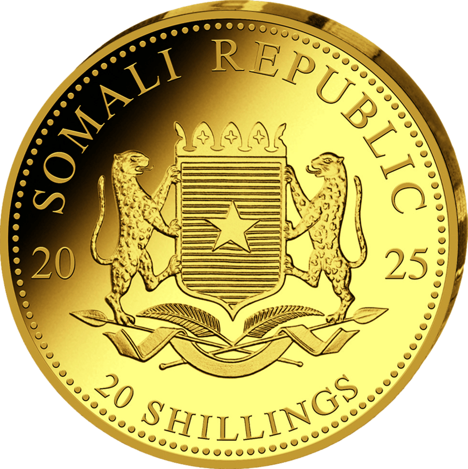 African Wildlife Leopard 2025, 0,5 g Gold, Wertseite