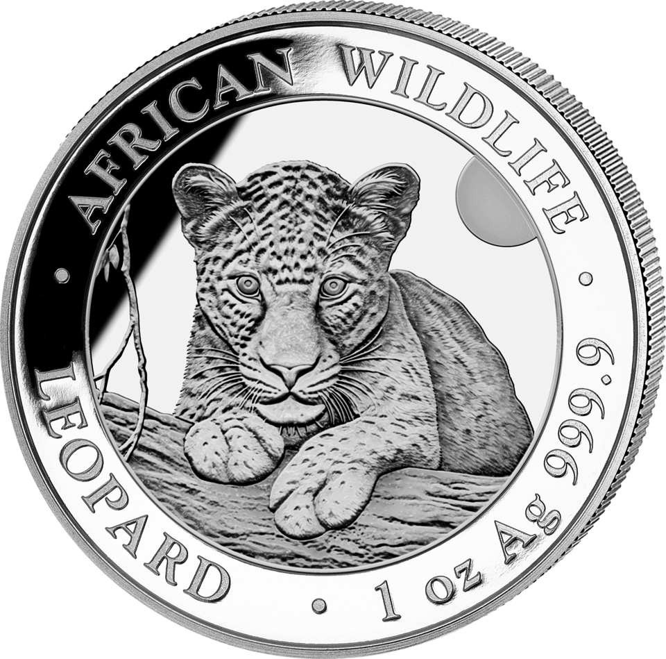 African Wildlife Leopard 2025, 1 Unze Silber, Bildseite