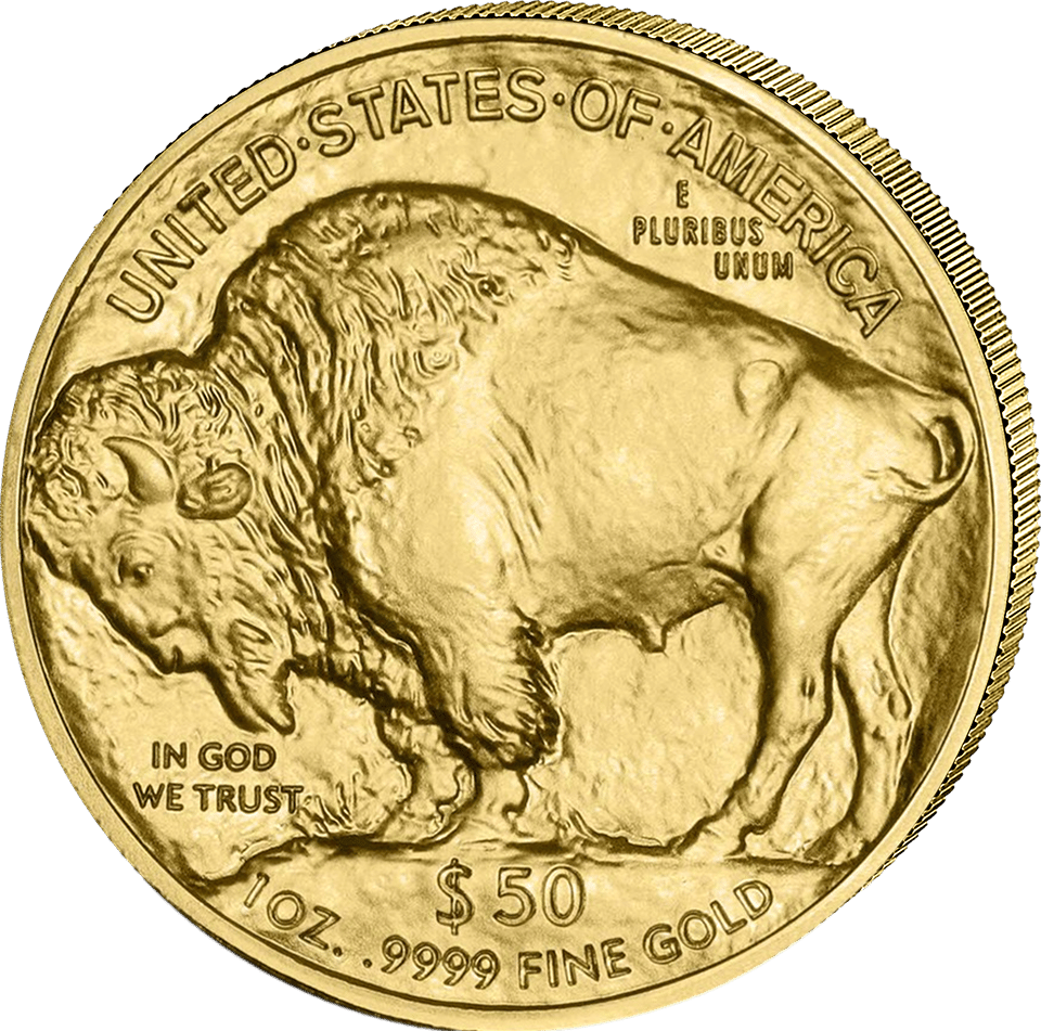 American Buffalo 2026, bison side with the American bison