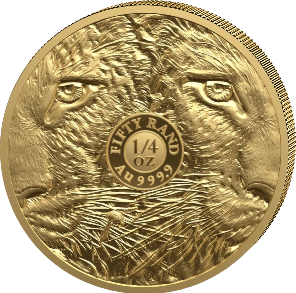 Big Five Leopard 2026, 1/4 Unze Gold, Seite mit Augen und Fell