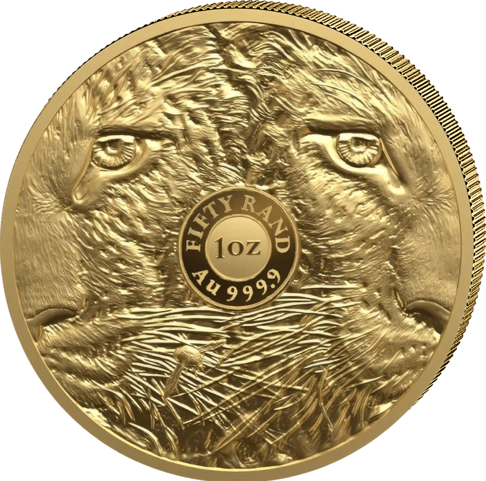Big Five Leopard 2026, 1 Unze Gold, Seite mit Augen und Fell