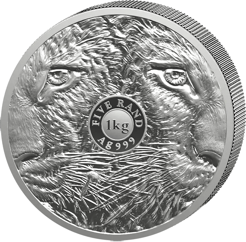 Big Five Leopard 2026, 1 kg zilver, zijde met ogen en vacht