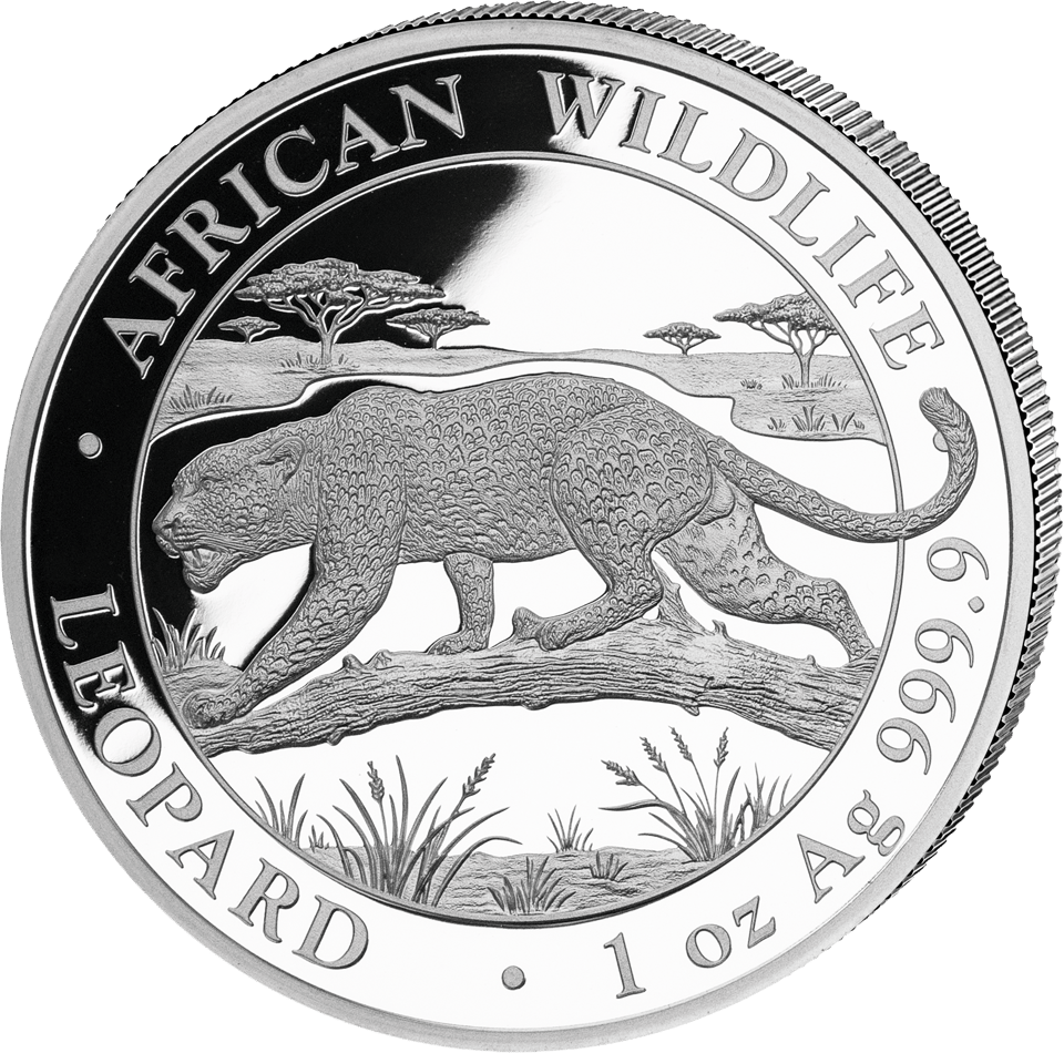 African Wildlife Leopard 2026, 1 Unze Silber, Bildseite
