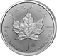 Silber Maple