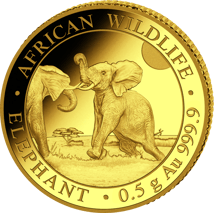 0,5g Gold Somalia Elefant 2024 (Polierte Platte)