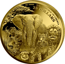 0,5g Gold African Animals Leopard 2025 (Auflage: 5.000 | Polierte Platte)