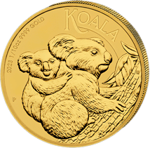 1/10 Unze Gold Koala 2023 (Auflage: 25.000)